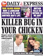 Daily Express (UK) Newspaper Front Page for 29 May 2015