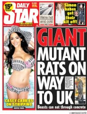 Daily Star (UK) Newspaper Front Page for 28 March 2014
