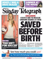 Sunday Telegraph (Australia) Newspaper Front Page for 17 November 2013