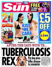 The Sun (UK) Newspaper Front Page for 29 March 2014
