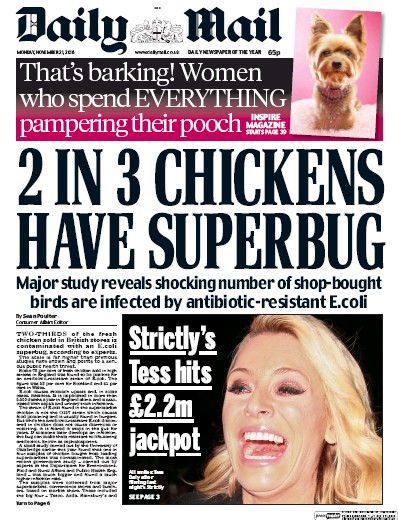 Daily Mail Newspaper Front Page (UK) for 21 November 2016