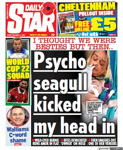 Daily Star Newspaper Front Page (UK) for 11 November 2022