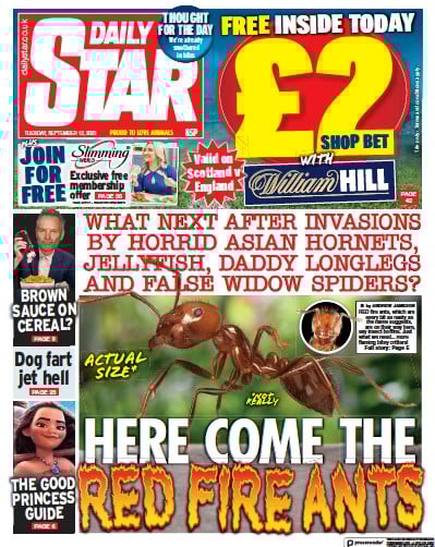 Daily Star Newspaper Front Page (UK) for 12 September 2023