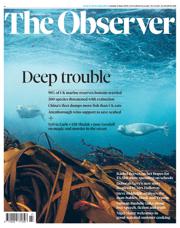 The Observer front page for 8 June 2025