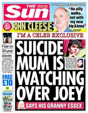 The Sun (UK) Newspaper Front Page for 22 November 2013